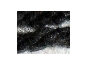 Spun Carbonized Fiber Yarn